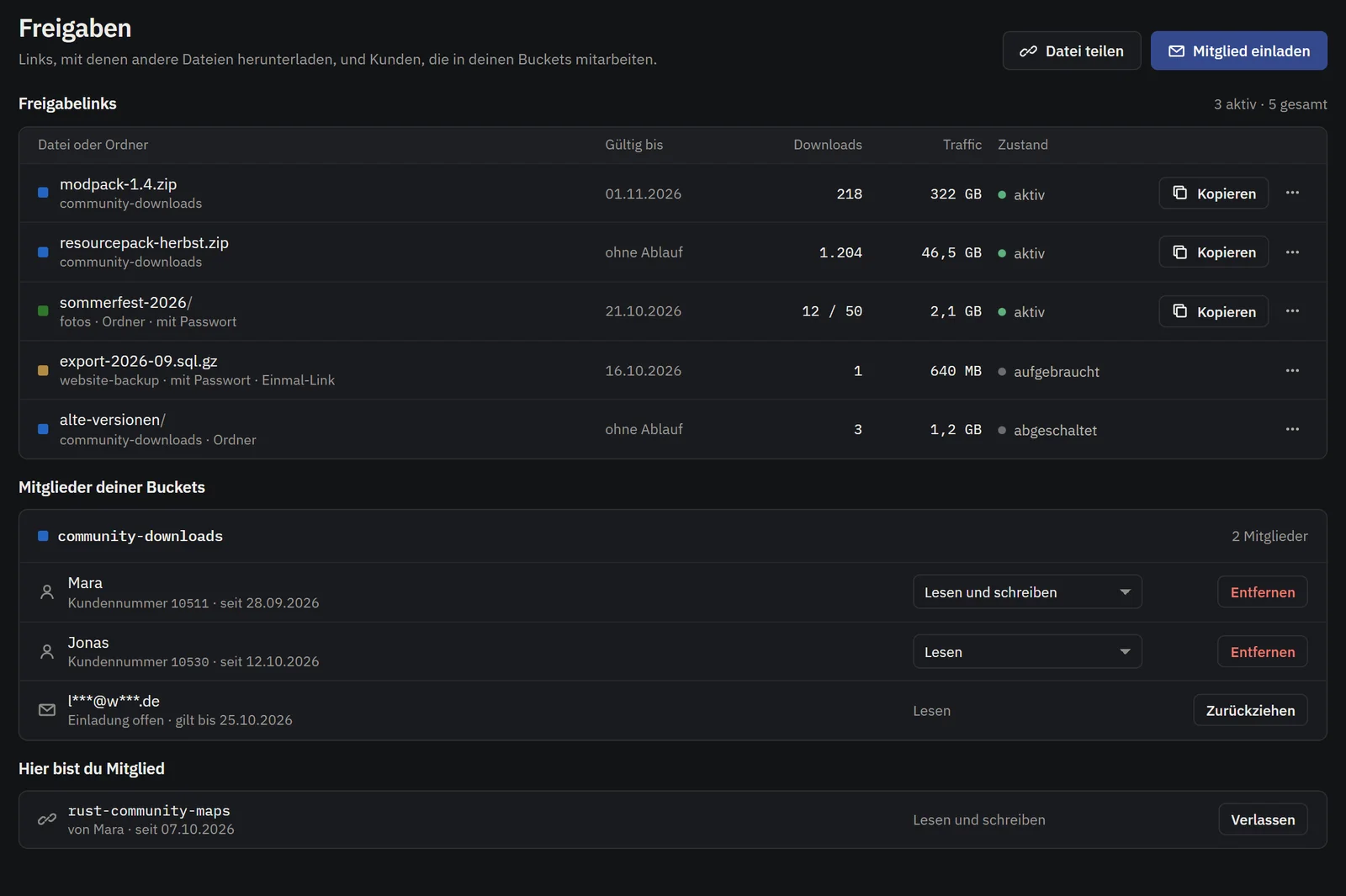 Siden Delinger: liste over links med gyldighed, downloads og trafik, derunder en buckets medlemmer med deres roller